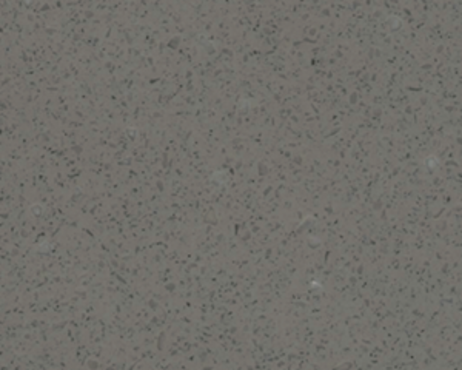 Coloris Steel concrete