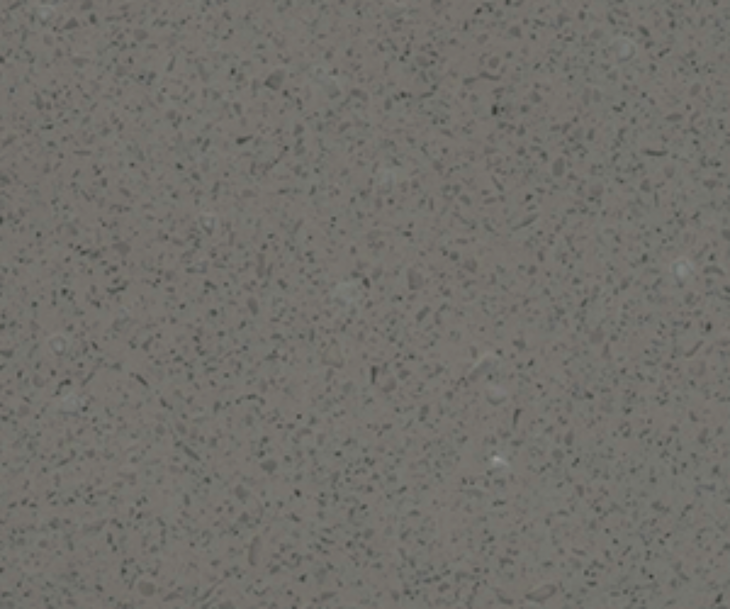 Coloris Steel concrete